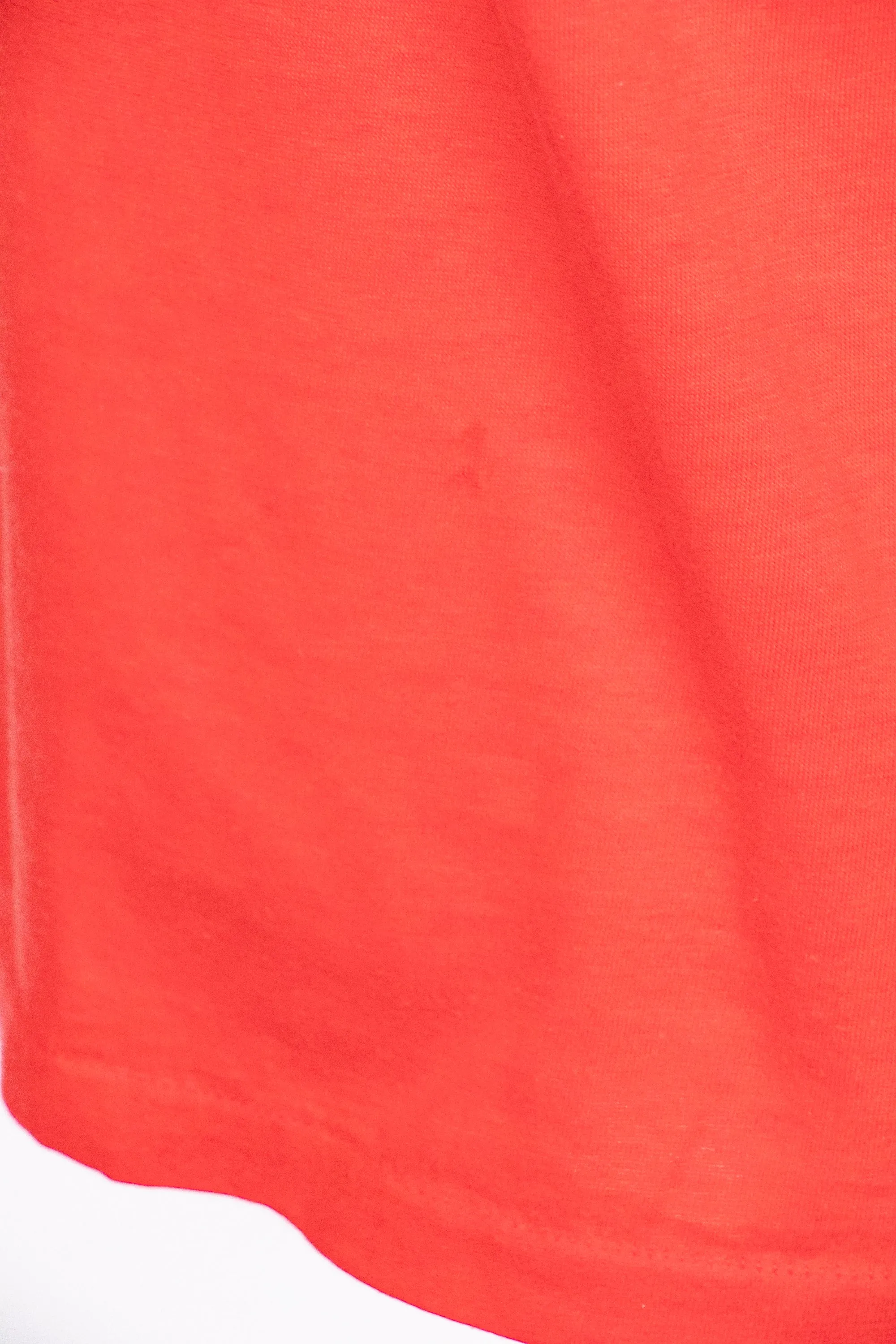 1990s Tee T-shirt Novelty WA Rust L