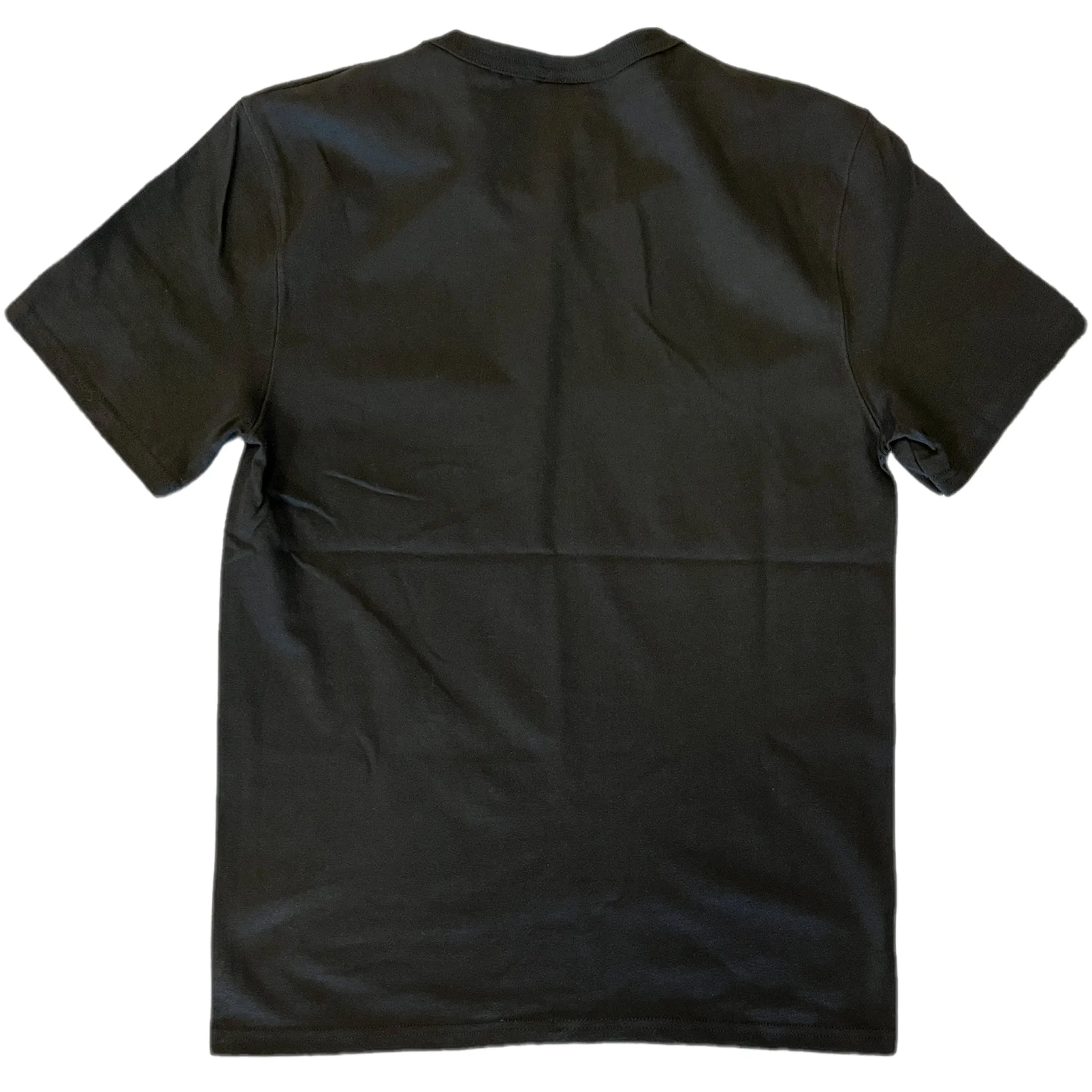 Champion Men's Script Logo Short Sleeve Tee T-Shirt