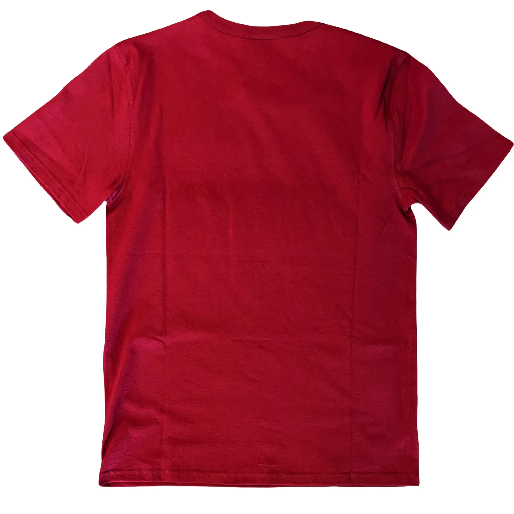 Champion Men's Script Logo Short Sleeve Tee T-Shirt