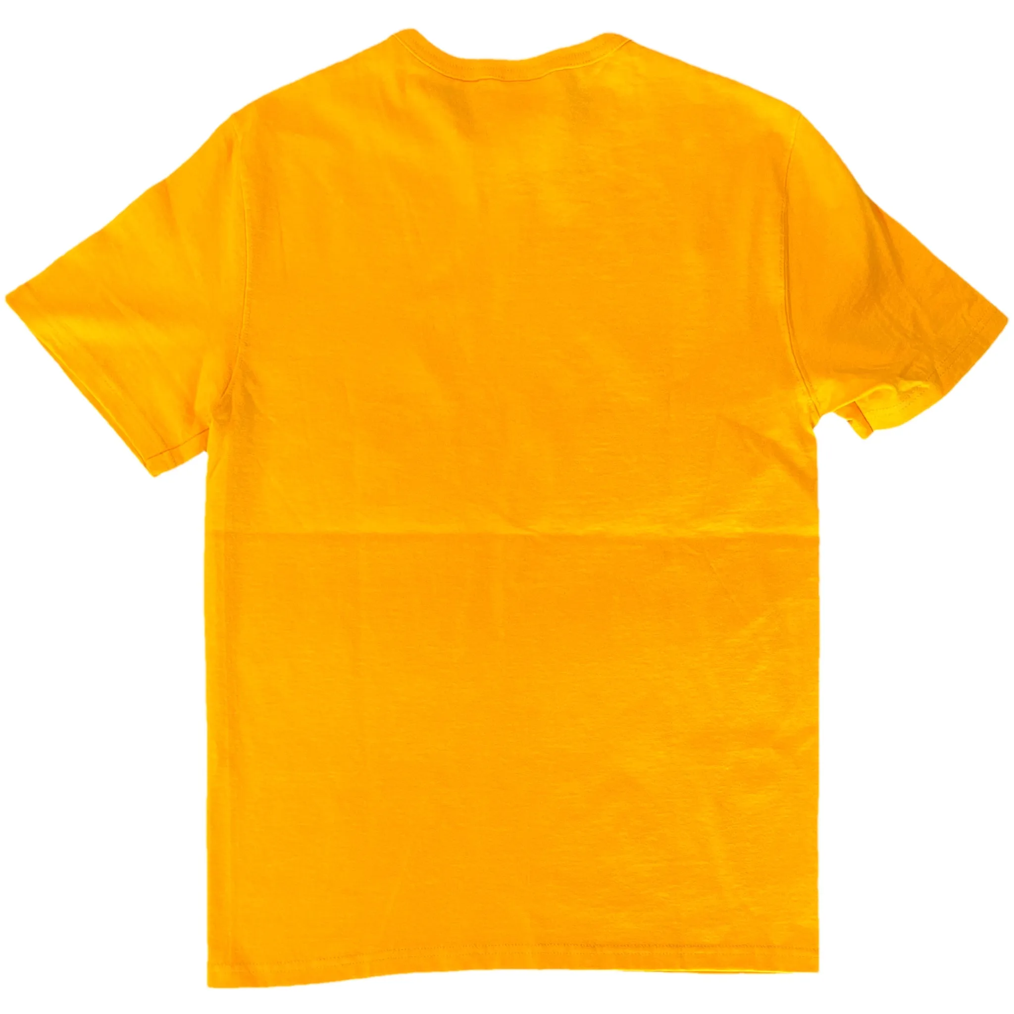 Champion Men's Script Logo Short Sleeve Tee T-Shirt