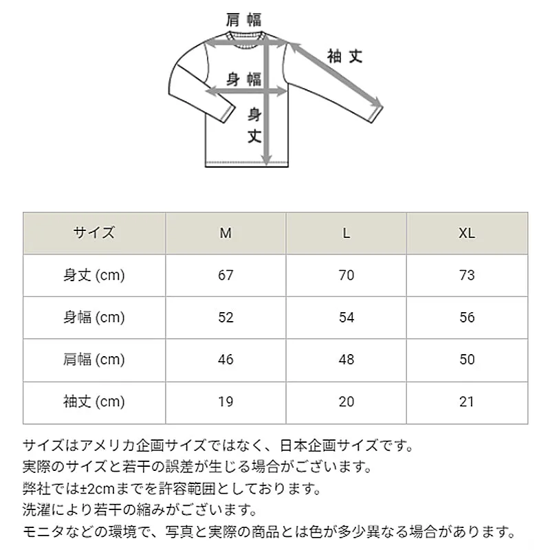 Champion Tシャツ メンズ 半袖 紳士 ウエア シャツ トップス S M L XL チャンピオン パイル生地 ロゴ シンプル ジム (在庫限り)